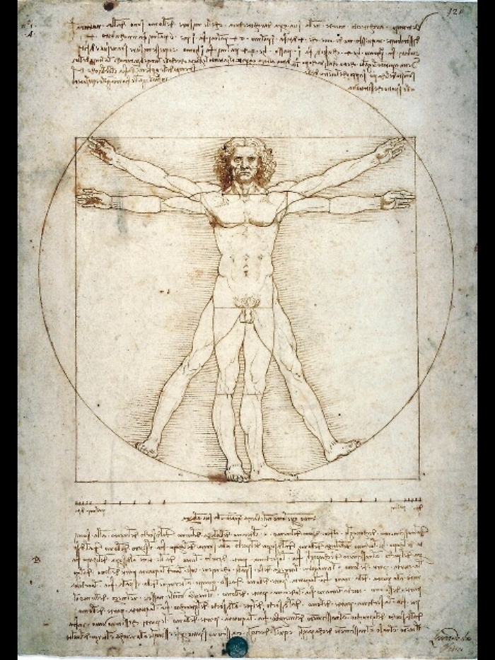 L'Uomo Vitruviano, modello del mondo