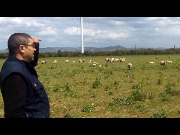 Lettera-appello pastore sardo a Gates