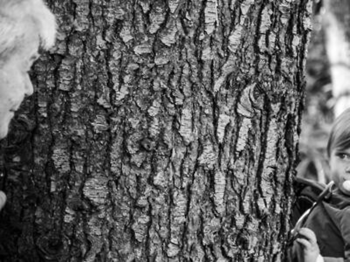 Uno sguardo e un albero, lo scatto 'Complicit&agrave;' vince il RilegnoPhotoContest