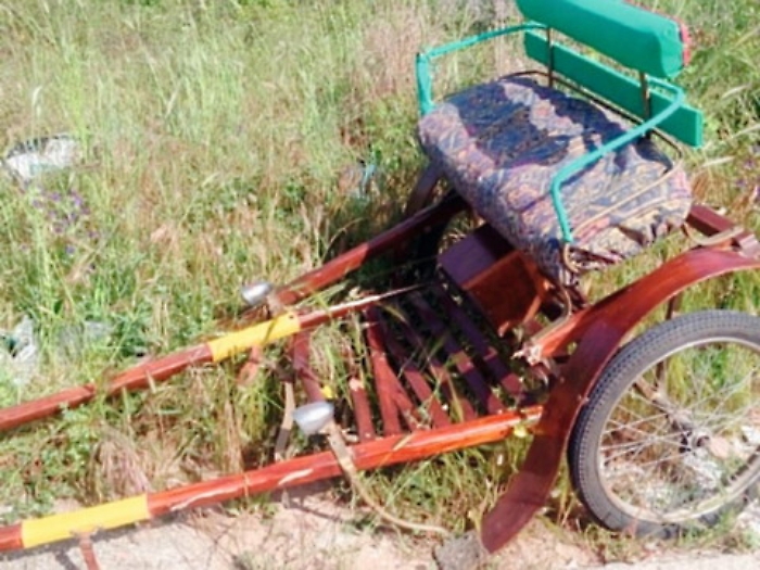 Cavallo "impazzito" a Niscemi