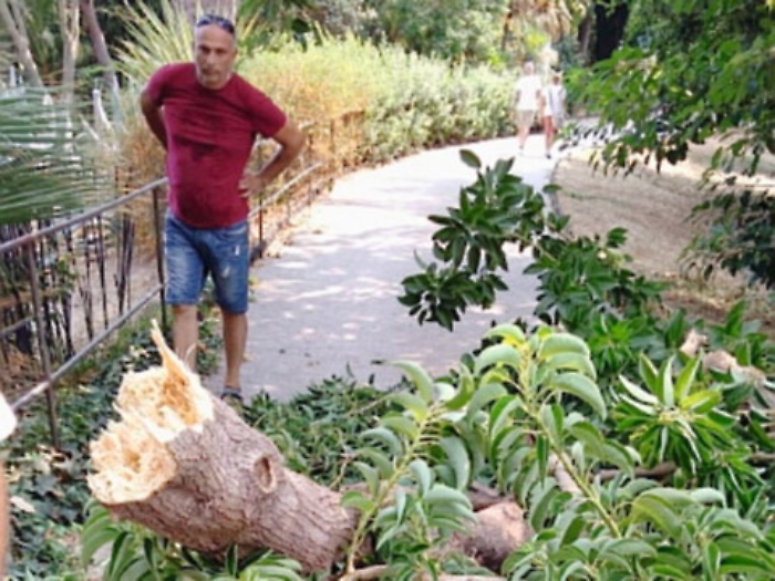 Cade ramo di albero al Giardino Bellini: vertebra rotta per un 18enne