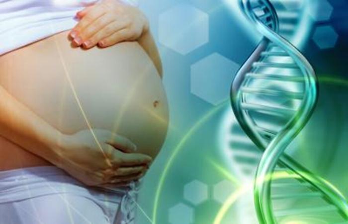 Ricerca: il pi&ugrave; grande albero genealogico dell'umanit&agrave; lega 13 mln di vite