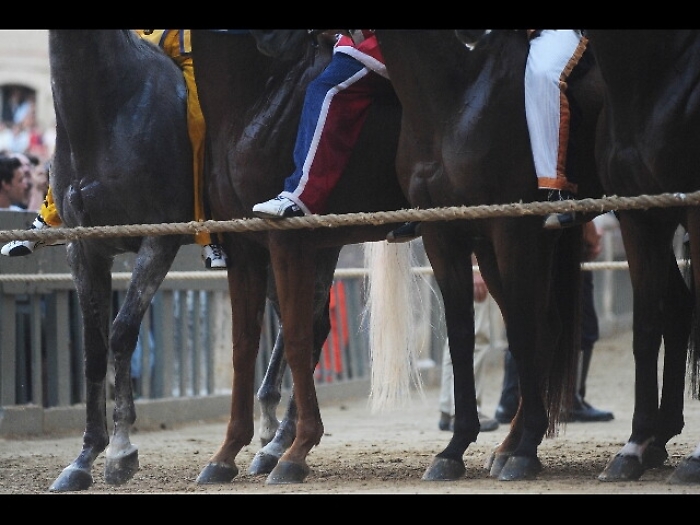 Palio Siena: Pantera vince prima prova