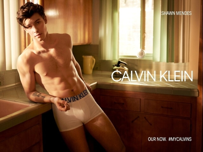 Jenner e Shawn Mendes in posa per Klein