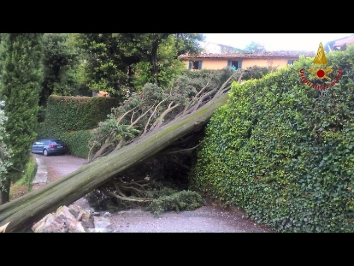 Toscana, vento forte, pompieri al lavoro