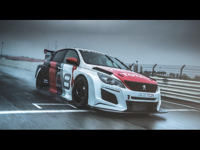 Sul mercato Peugeot da gara per privati