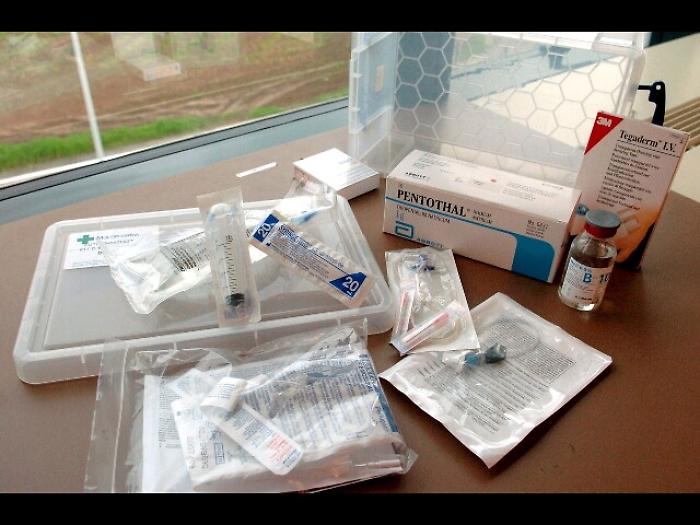 Stuprata da bambina, ottiene l'eutanasia