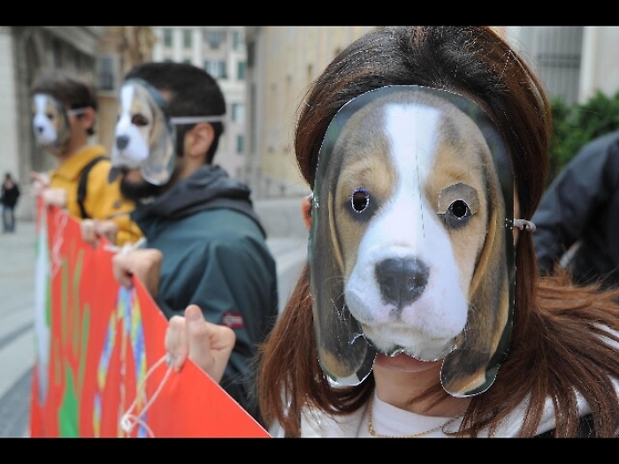 Green Hill: liberarono cavie, condannati