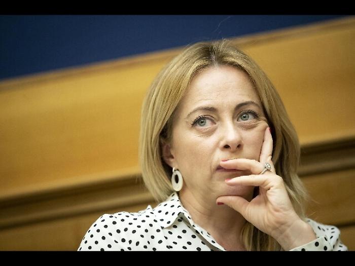 Prisco responsabile riforme per FdI