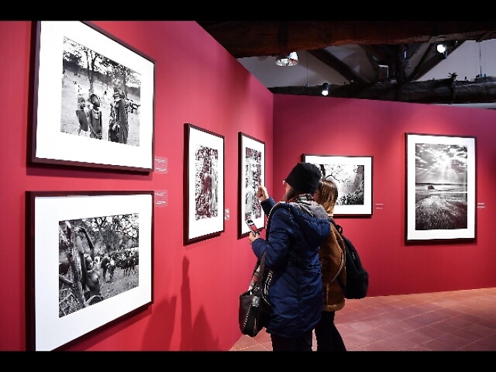 A Reggia Venaria 'Genesi' di Salgado