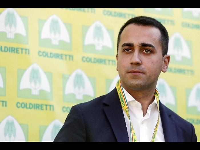 Di Maio,no tetto 2 mandati a consiglieri