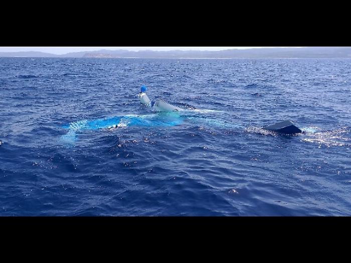 Ultraleggero cade in mare, pilota salvo