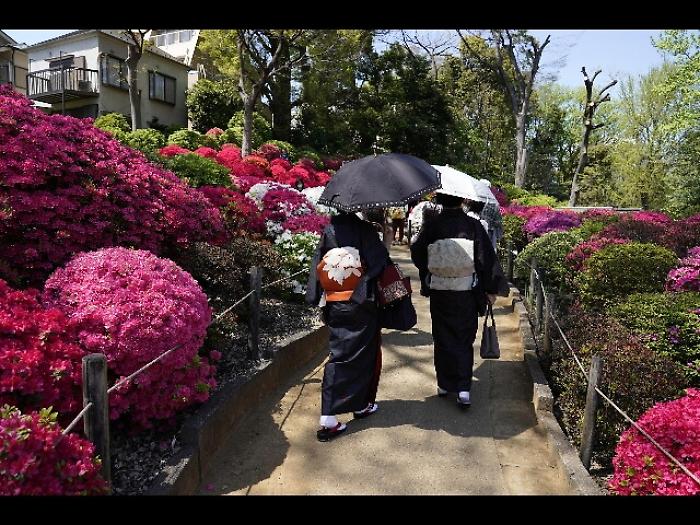 Giappone,calo record popolazione in 2010
