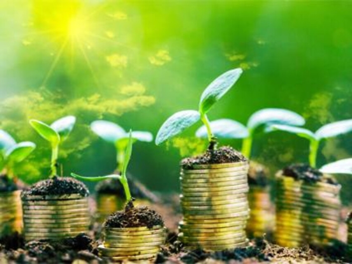 Valore e sviluppo sostenibile, il contributo di Lidl