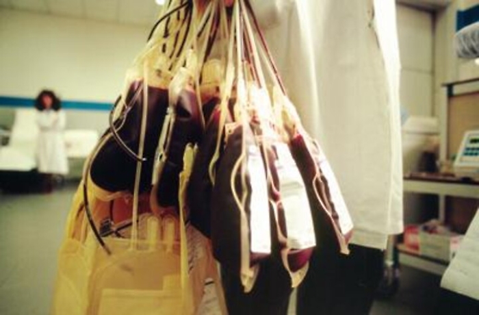 Estate: Grillo, 'carenza sangue, prima di partire donate'