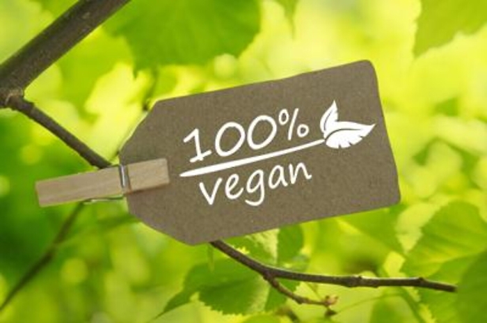 Abiti vegani? Millennials poco sensibili al tema