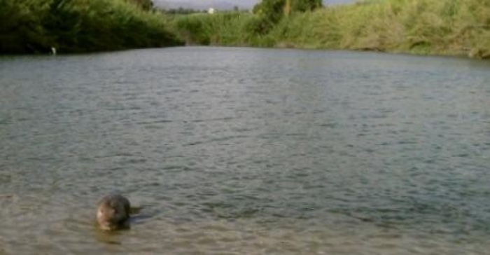 Famiglia in difficolt&agrave; per innalzamento livello del fiume salvata da pompieri