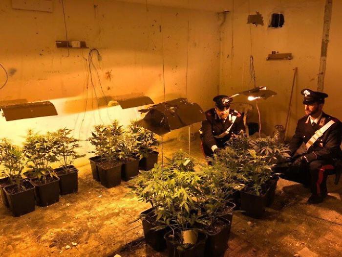 Palermo, piantagione di marijuana in un cunicolo allo Zen