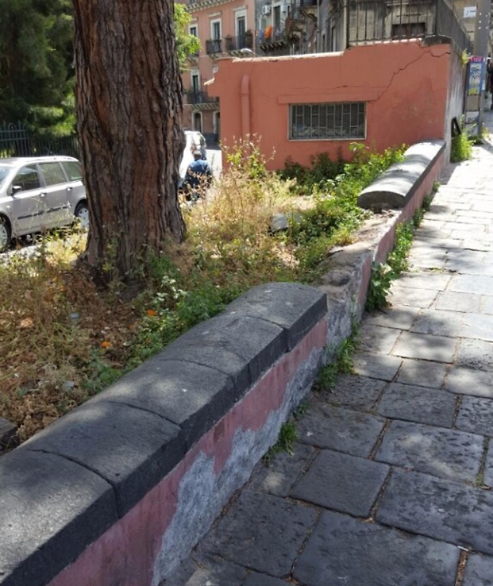 Catania, antica aiuola in stato di abbandono in via Colombo