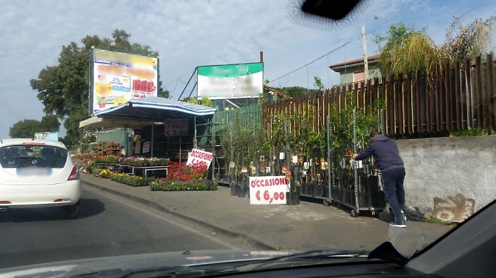 Catania, quel marciapiede in viale Bolano trasformato in "marciapiante"