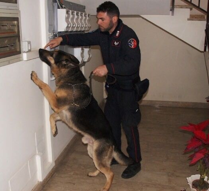 Riposto, blitz al Nautico, i cani anti droga trovano dosi di marijuana