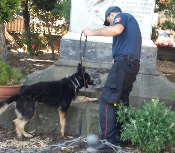 Zafferana, nella villa comunale sotterrati 400 grammi di marijuana