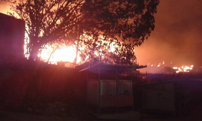 Coldiretti Sicilia: &laquo;Un patrimonio devastato dal fuoco&raquo;