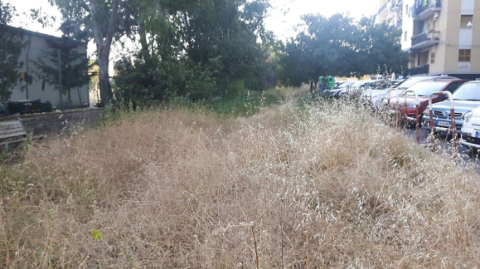 Via dell'Esperanto a Catania sembra la savana: alto rischio incendi