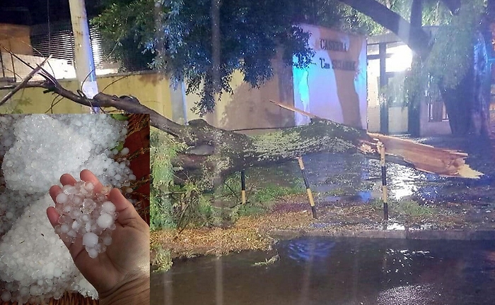 Maltempo, Palermo si sveglia allagata: strade come fiumi e alberi spezzati