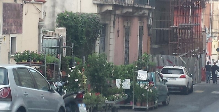 I fiorai potrebbero ornare cos&igrave; le strade di Catania