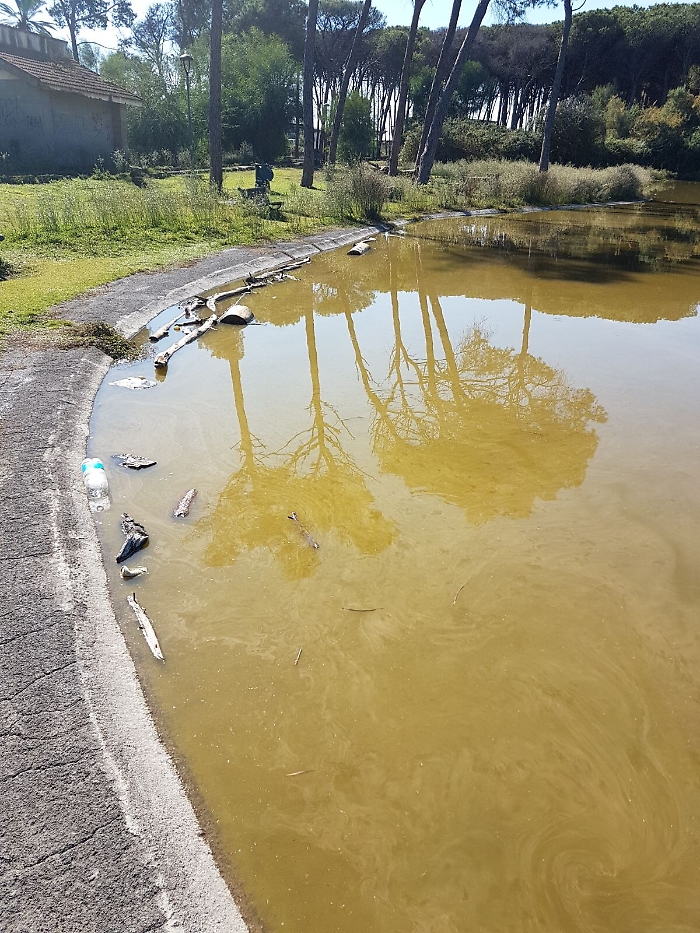 E' il boschetto della Playa di Catania o &egrave; una discarica?