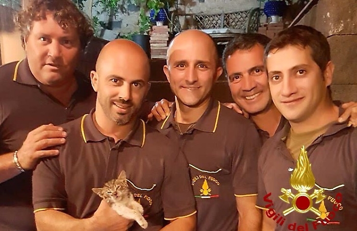 Gattino intrappolato nel tubo di una grondaia: liberato da vigili del fuoco