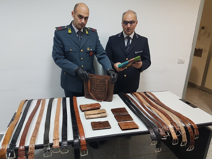 Catania, sbarca all'aeroporto con la valigia piena di cinture di pelle di coccodrillo