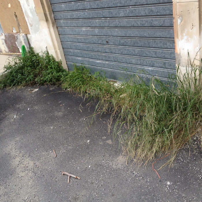 Il cortile Avveduto di Avola &egrave; sempre invaso dalle erbacce