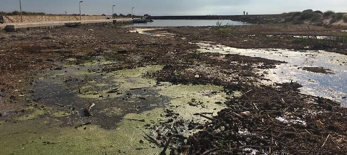 Porticciolo di Donnalucata insabbiato e pieno di alghe: protestano i pescatori