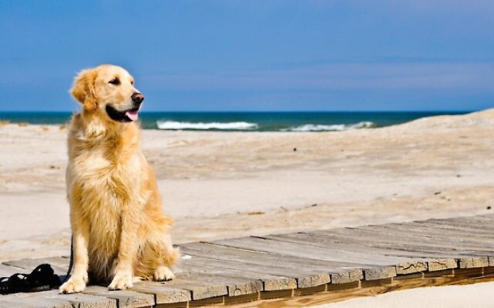 Con Fido al mare, ma in Sicilia ci sono spiagge attrezzate?