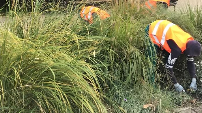 Palermo, operai del Comune al lavoro nella villa del dirigente