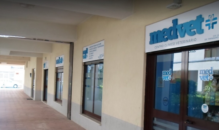 Ad Enna l'unica clinica del Sud Italia con dialisi per cani e gatti salva Ettore, indispensabile per l'equilibrio psichico della sua padroncina