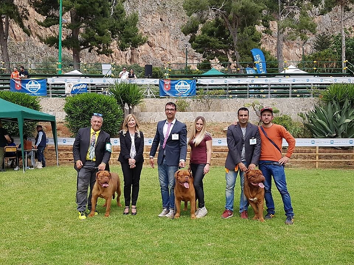 Torna a Palermo l&rsquo;Esposizione Internazionale Canina