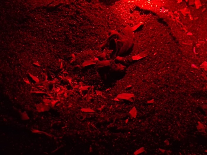 1566407999335_1618700130942-1