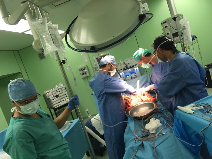 L&rsquo;intera esistenza di una signora agrigentina diviene un &ldquo;manifesto&rdquo; della cultura della donazione degli organi