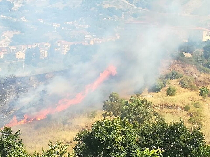 Incendio lambisce la villa comunale: attimi di panico a Santo Stefano Quisquina