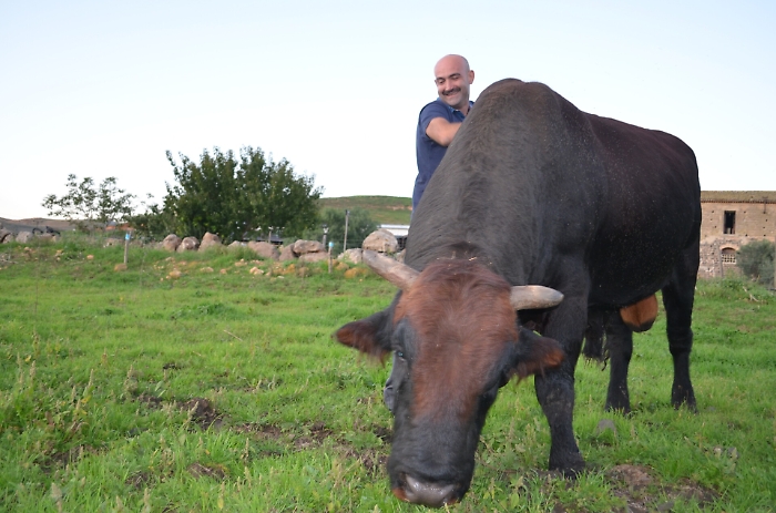 &laquo;La ricchezza della Sicilia? L'emozione di fave e ricotta&raquo;