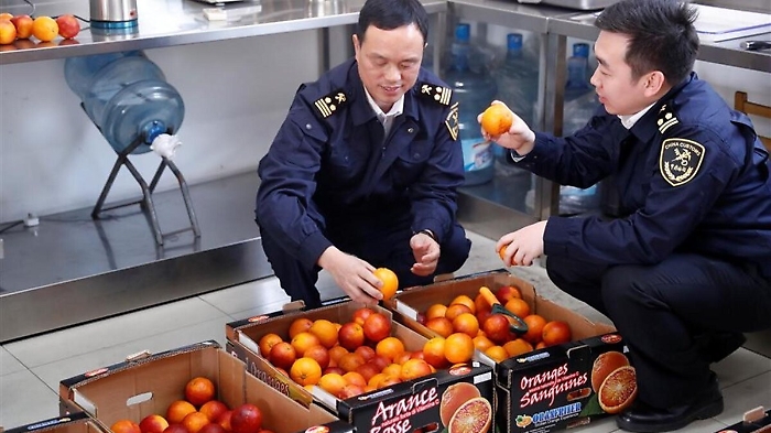 In Cina la collezione completa di arance rosse della piana dell'Etna