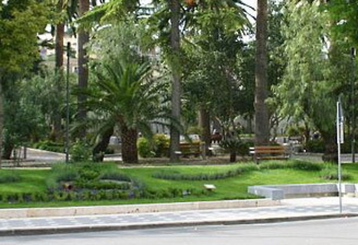 Canicatt&igrave;, palma con punteruolo rosso si spezza nella villa comunale