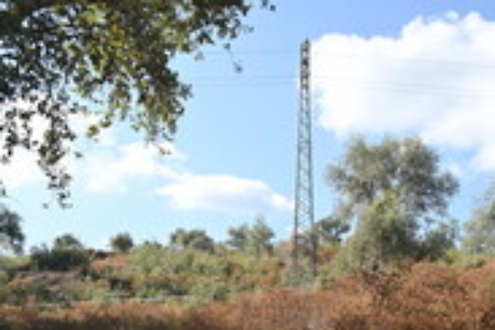 Dj morta, corpo di Viviana sotto traliccio il giorno dopo scomparsa