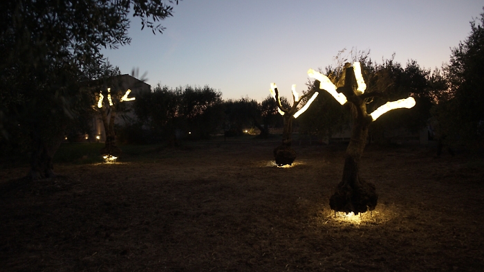 Noto, "L&rsquo;Orto degli ulivi" di Domenico Pellegrino accende il Parco dell'anima 