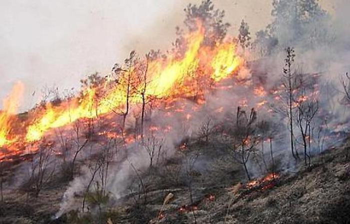 Incendi nel Messinese: evacuate case a San Saba