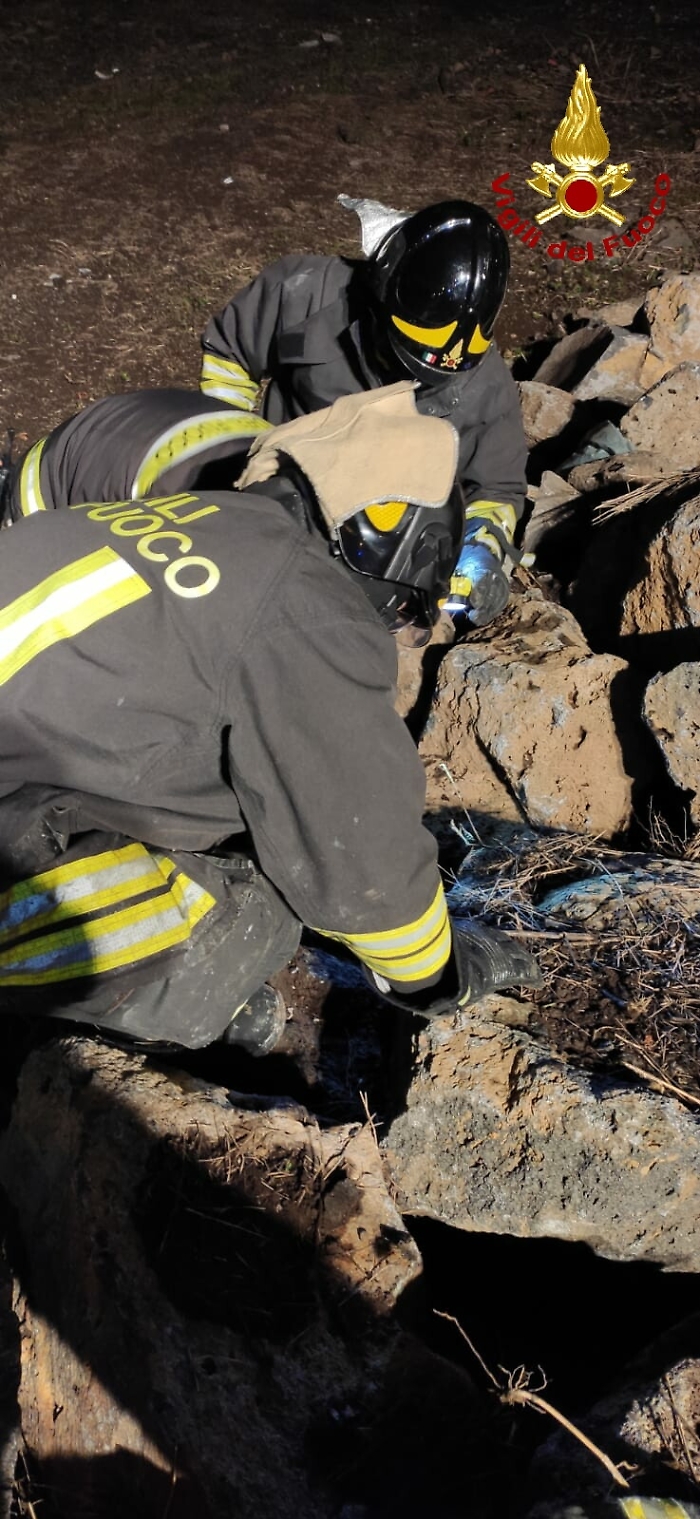 Valverde, gattino intrappolato tra grosse pietre: salvato dai vigili del fuoco