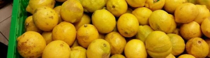 Avola, 22 tn di limoni spagnoli stoccati abusivamente: scatta sequestro